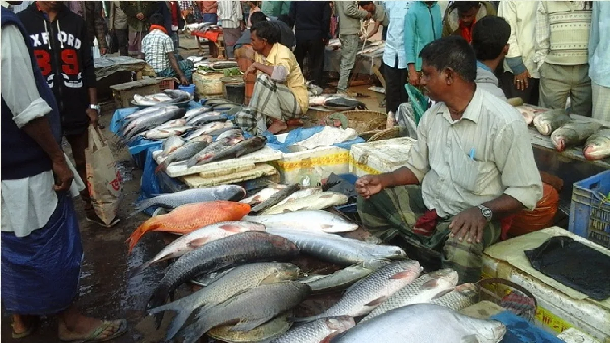 বাজারে মাছের সংকট, আকাশ ছুঁইছে দাম